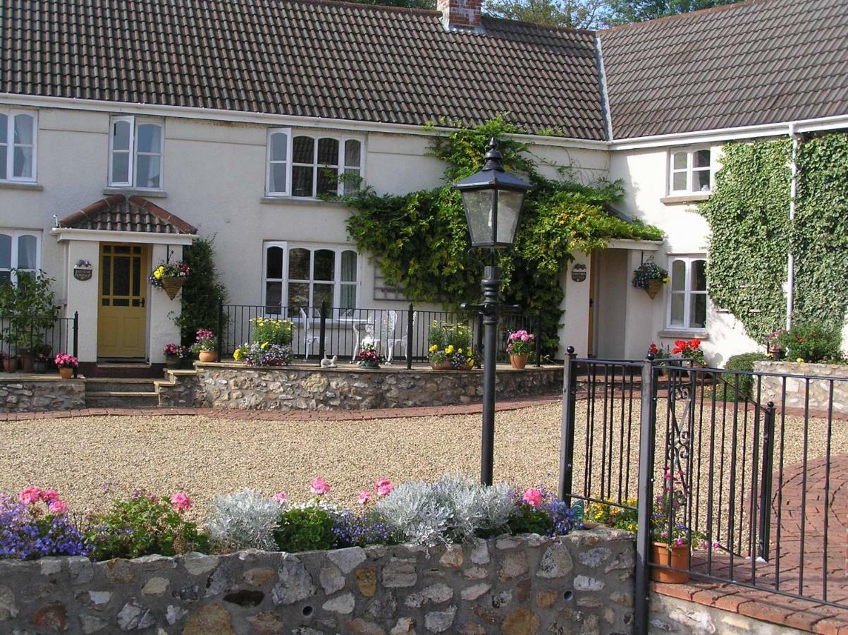 Odle Farm Villa Honiton Exteriör bild